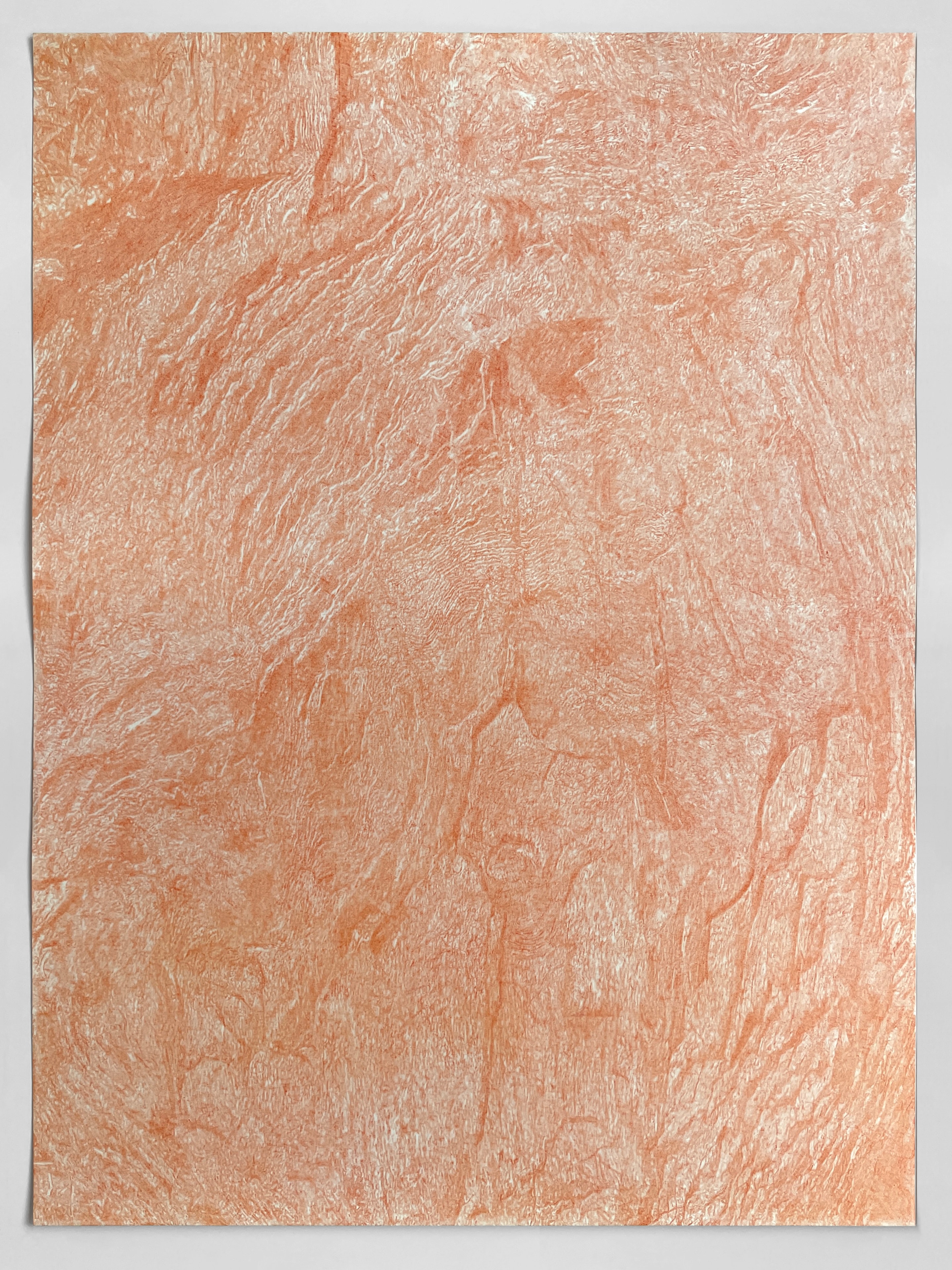 Giant Sequoia (dark cadmium orange), transfer drawing on paper, warm orange tones, 2022
