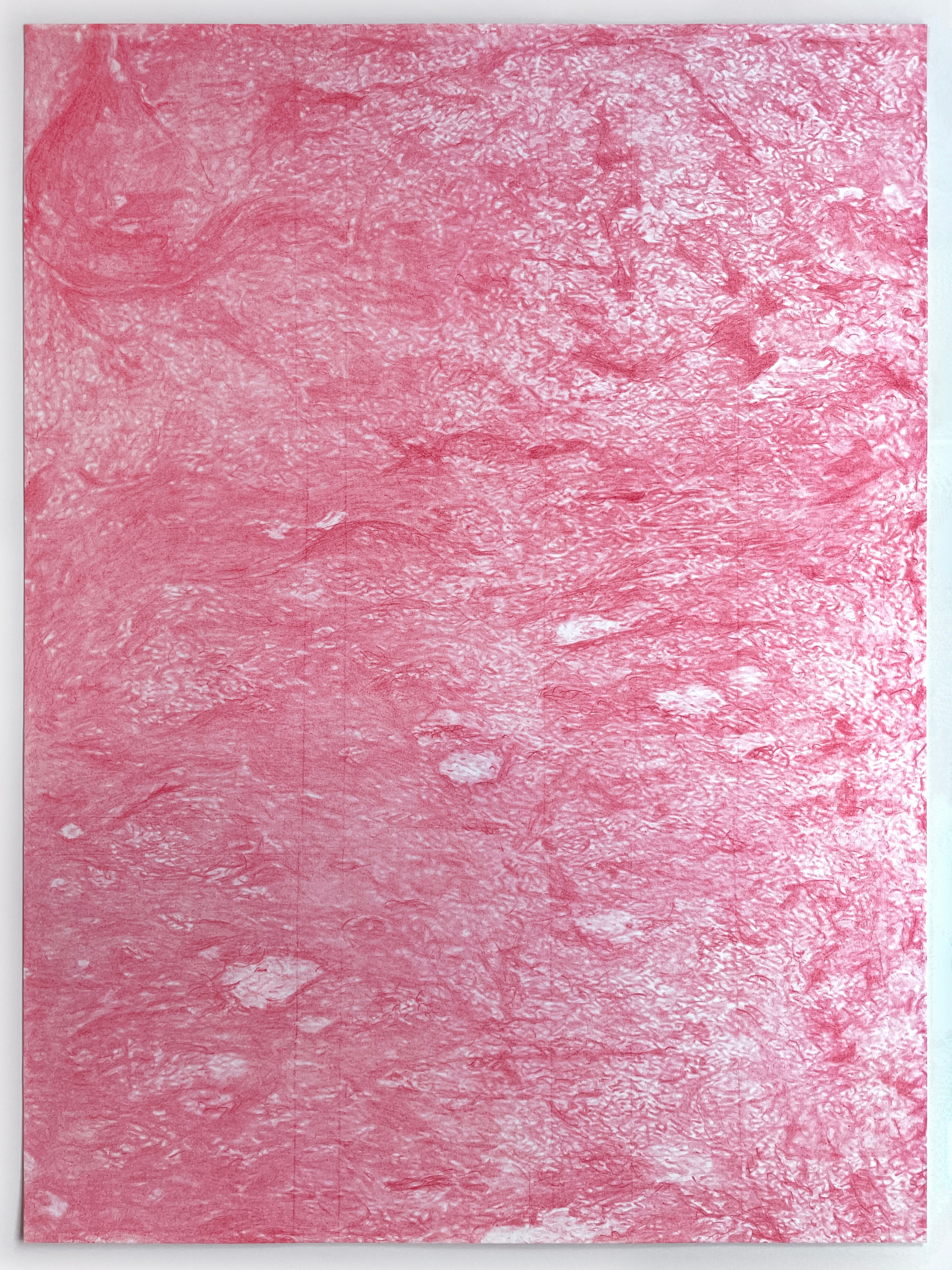 Mountain Ash (pale geranium lake), pink transfer drawing on white cotton paper
