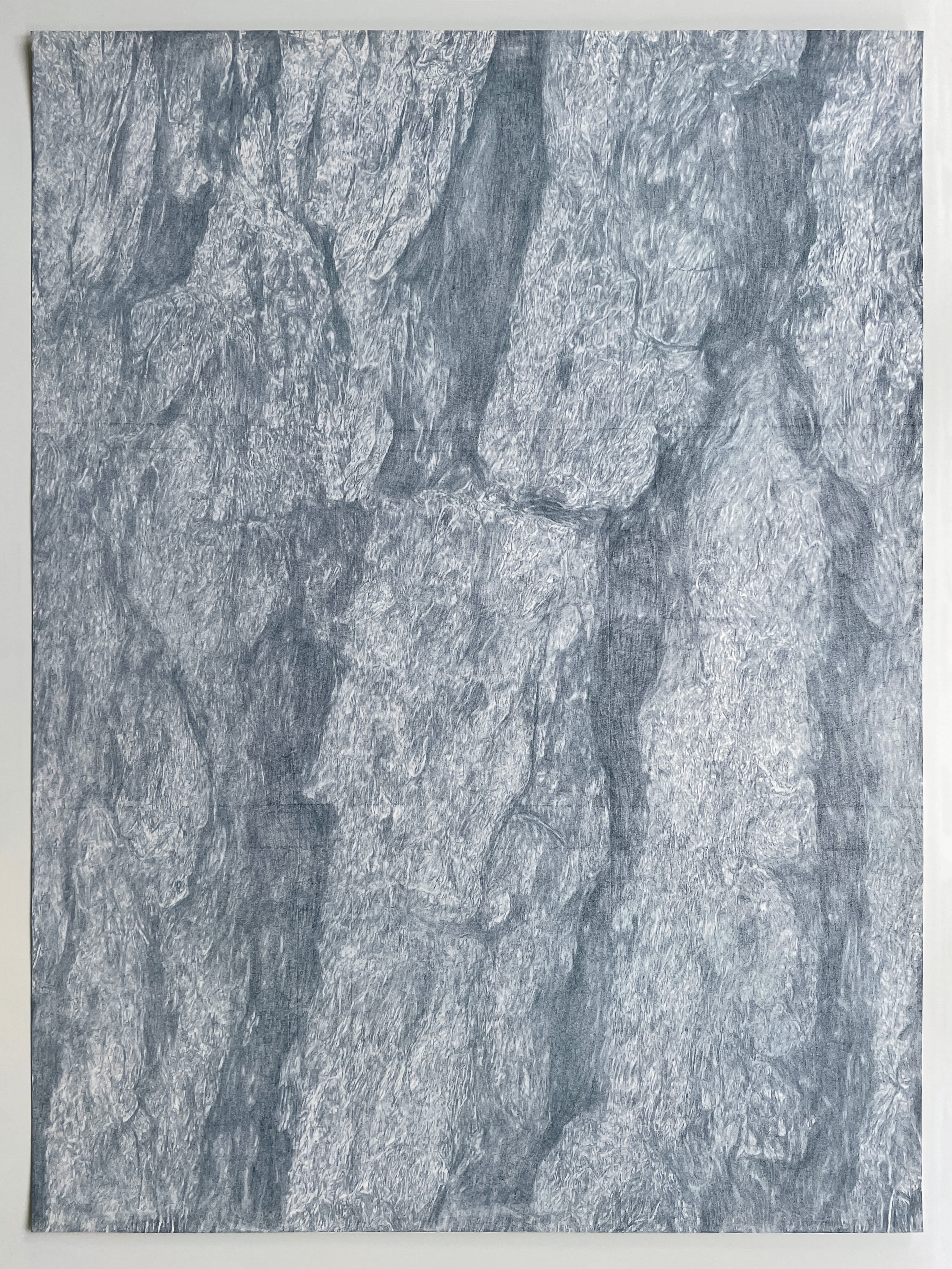 White Pine (Dark indigo), textured dark indigo transfer drawing on white paper, 2023