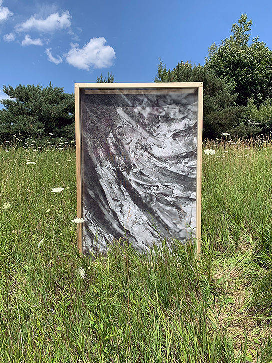 Framed monochrome abstract artwork in a meadow