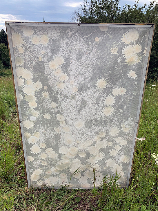 Abstract artwork in a natural landscape